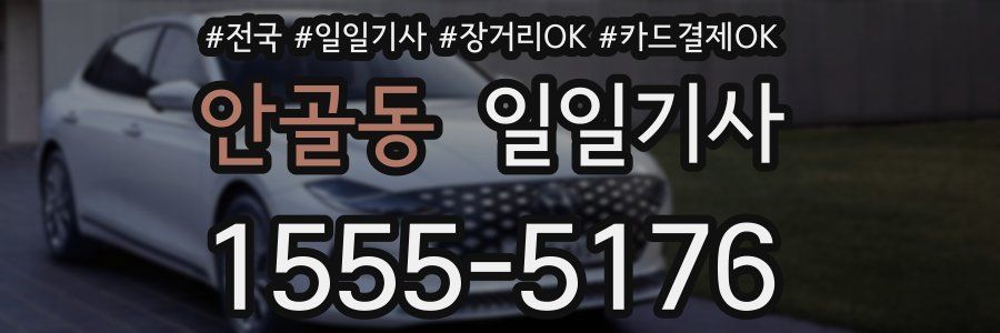 안골동 일일기사
