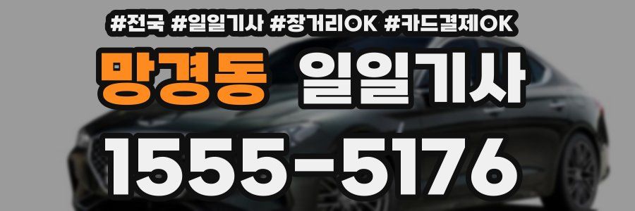 망경동 일일기사