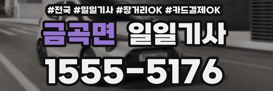 금곡면 일일기사