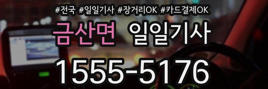 금산면 일일기사