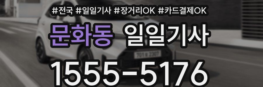 문화동 일일기사