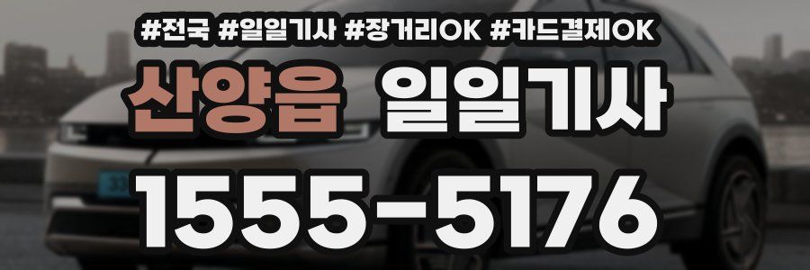 산양읍 일일기사