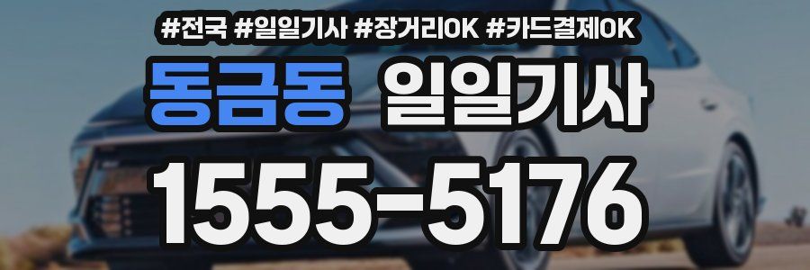 동금동 일일기사