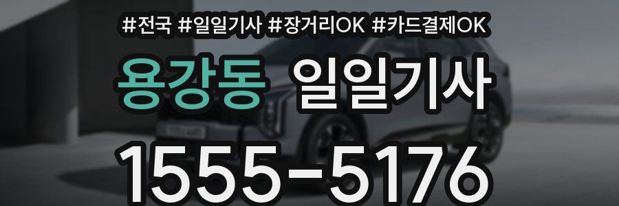 용강동 일일기사