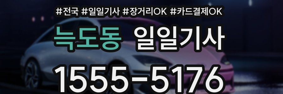 늑도동 일일기사
