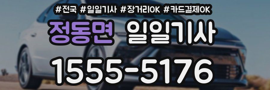 정동면 일일기사