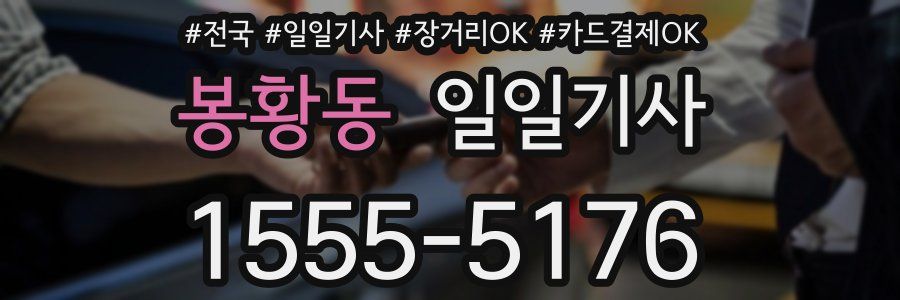 봉황동 일일기사