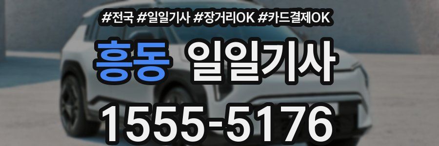 흥동 일일기사