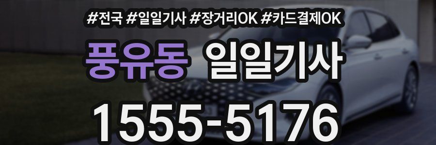 풍유동 일일기사