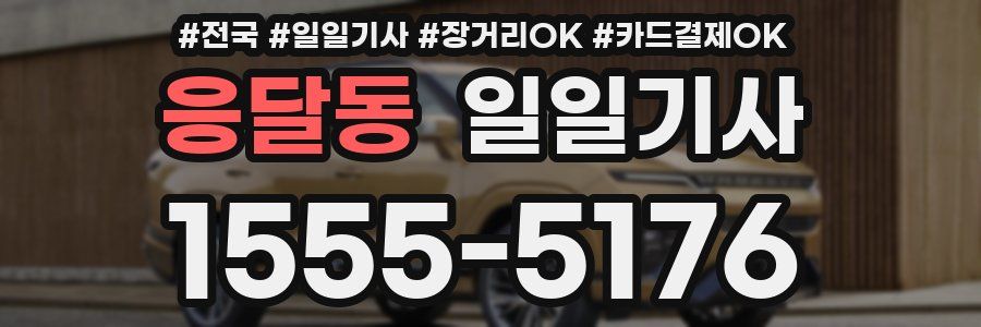 응달동 일일기사