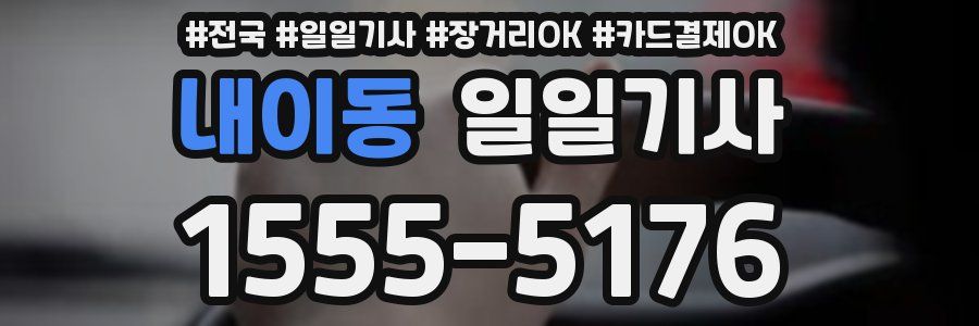 내이동 일일기사