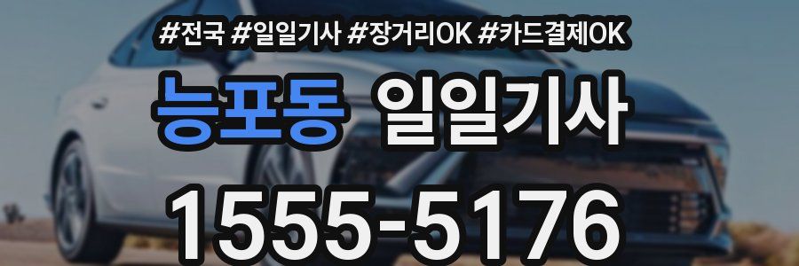 능포동 일일기사