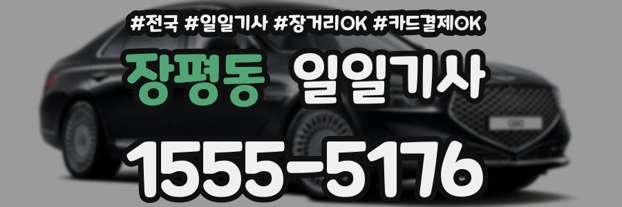 장평동 일일기사