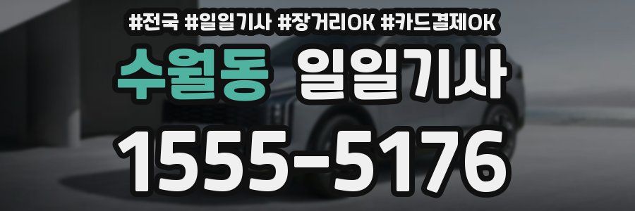 수월동 일일기사