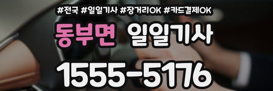 동부면 일일기사