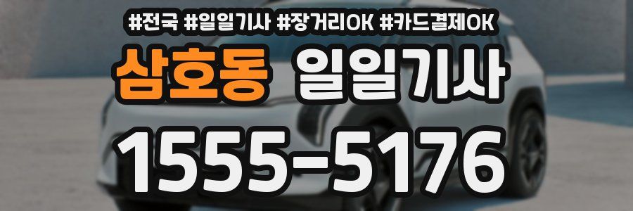 삼호동 일일기사