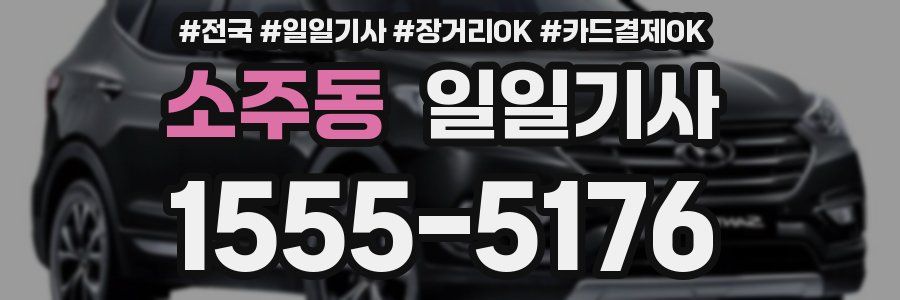 소주동 일일기사