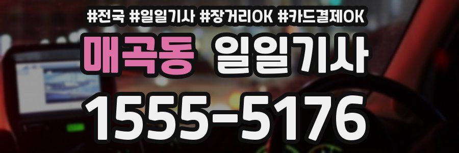 매곡동 일일기사