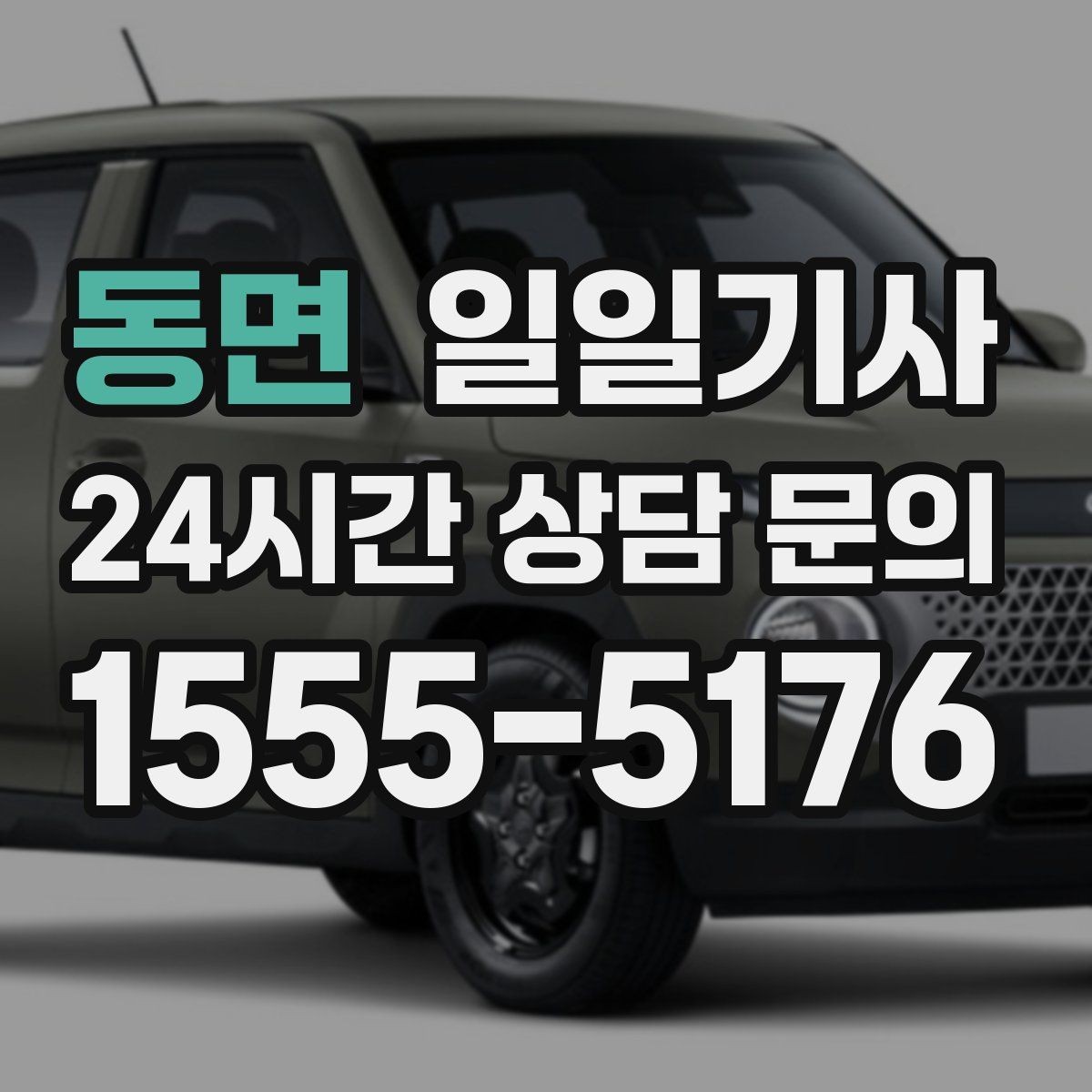 동면 일일기사 지역 지리를 잘 알아서 안심