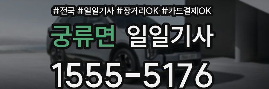 궁류면 일일기사