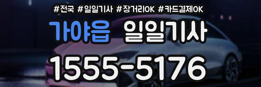 가야읍 일일기사