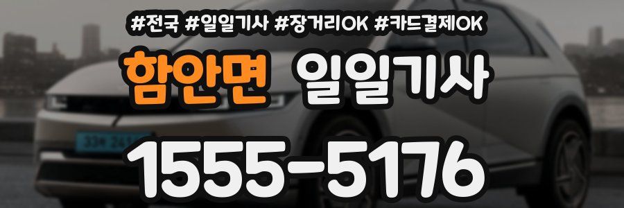 함안면 일일기사