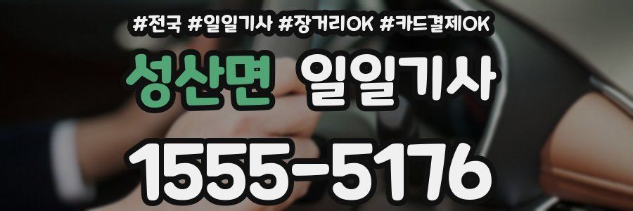 성산면 일일기사