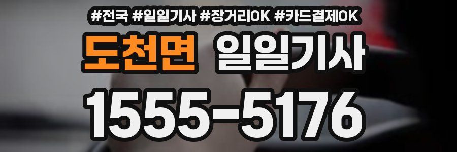 도천면 일일기사