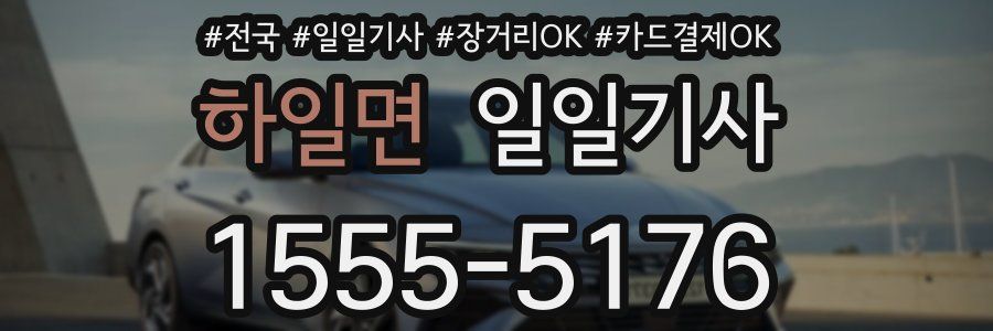 하일면 일일기사