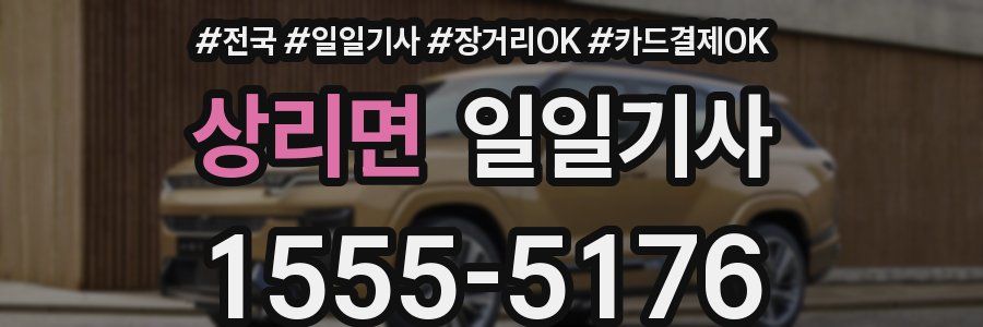 상리면 일일기사