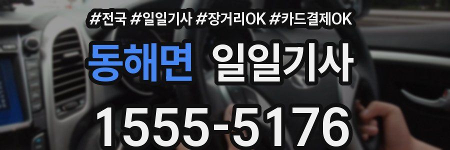 동해면 일일기사
