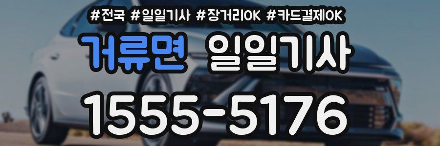 거류면 일일기사