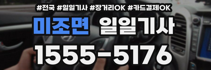 미조면 일일기사