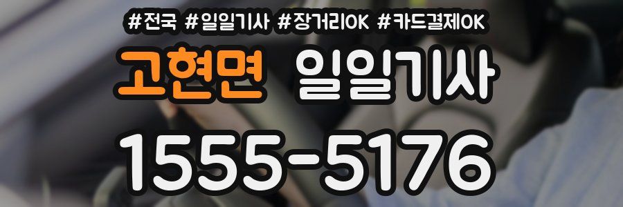 고현면 일일기사