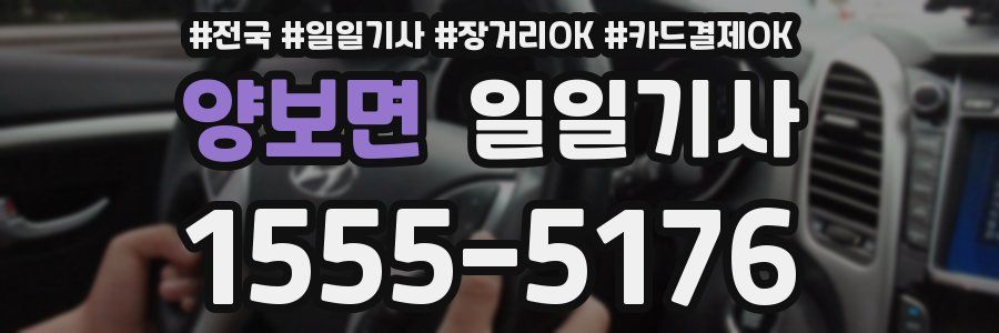 양보면 일일기사