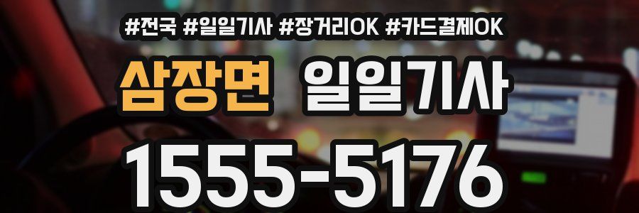 삼장면 일일기사