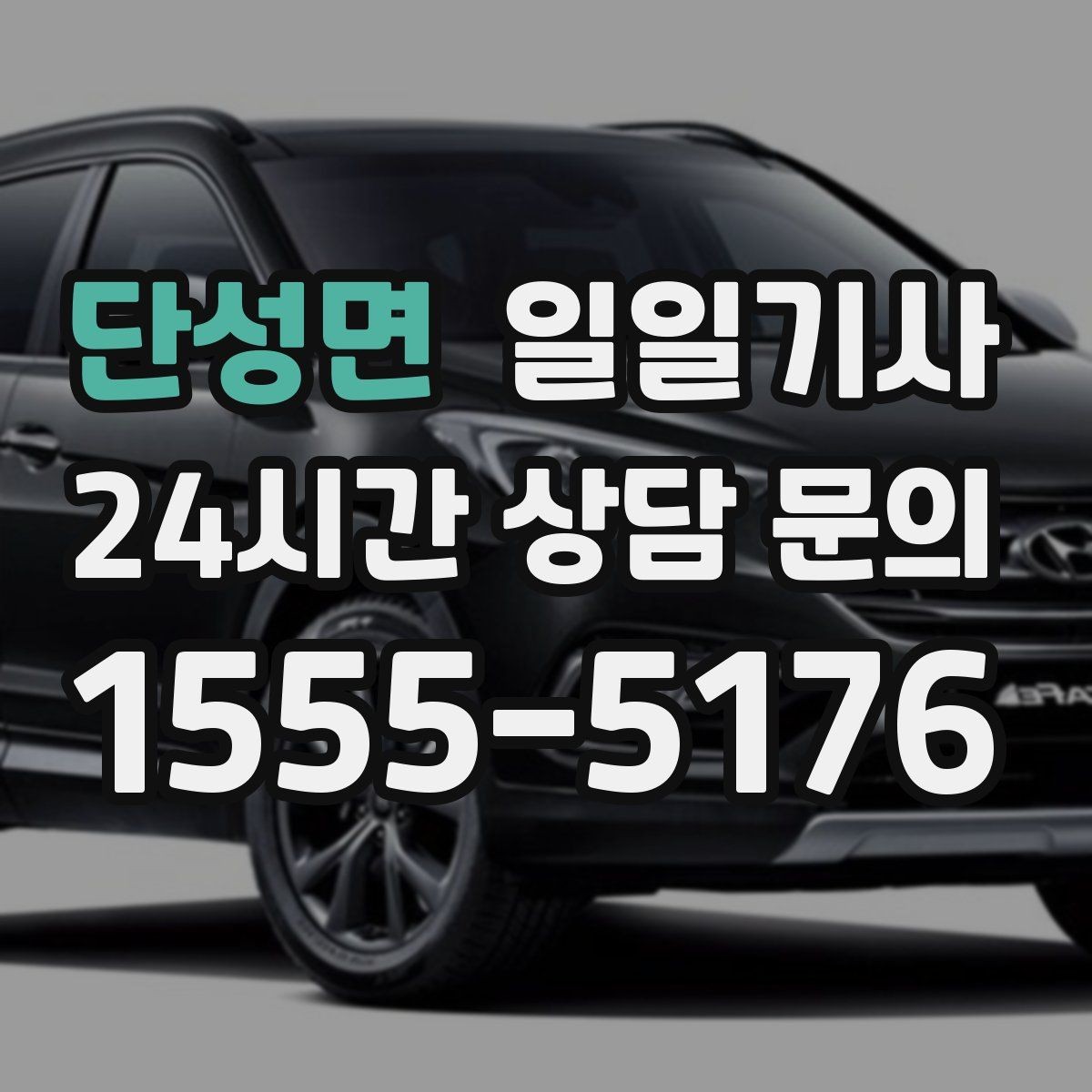 단성면 일일기사 공항 탑승 수속 여유 도착