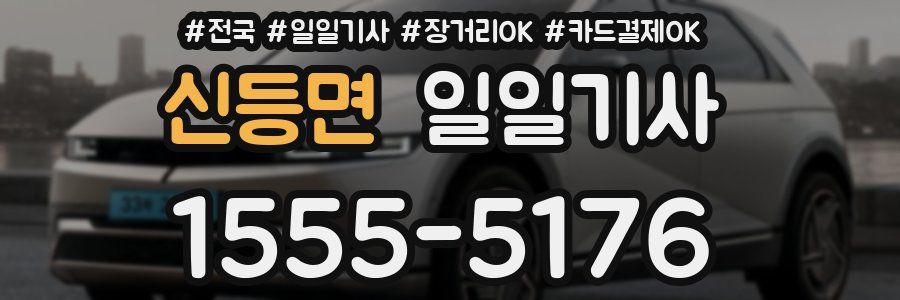 신등면 일일기사