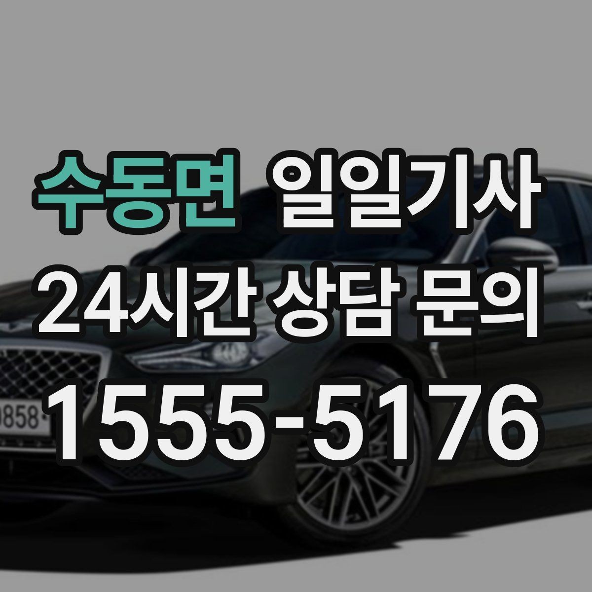 수동면 일일기사 밝은 장소 승하차 지원