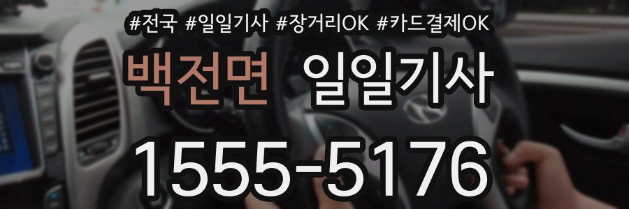 백전면 일일기사