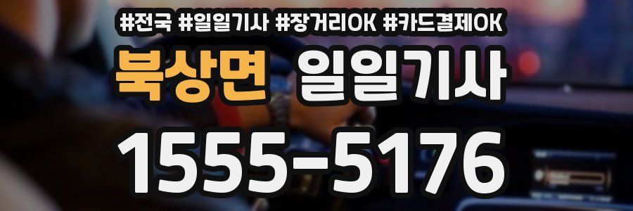 북상면 일일기사