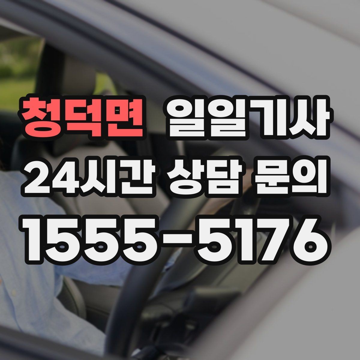 청덕면 일일기사 수도권 다중 경유 전담