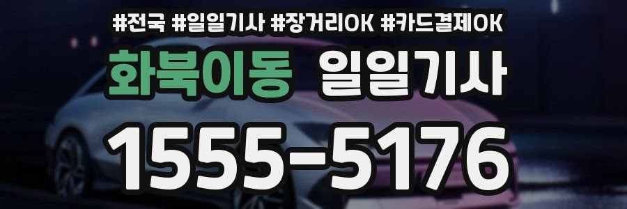 화북이동 일일기사