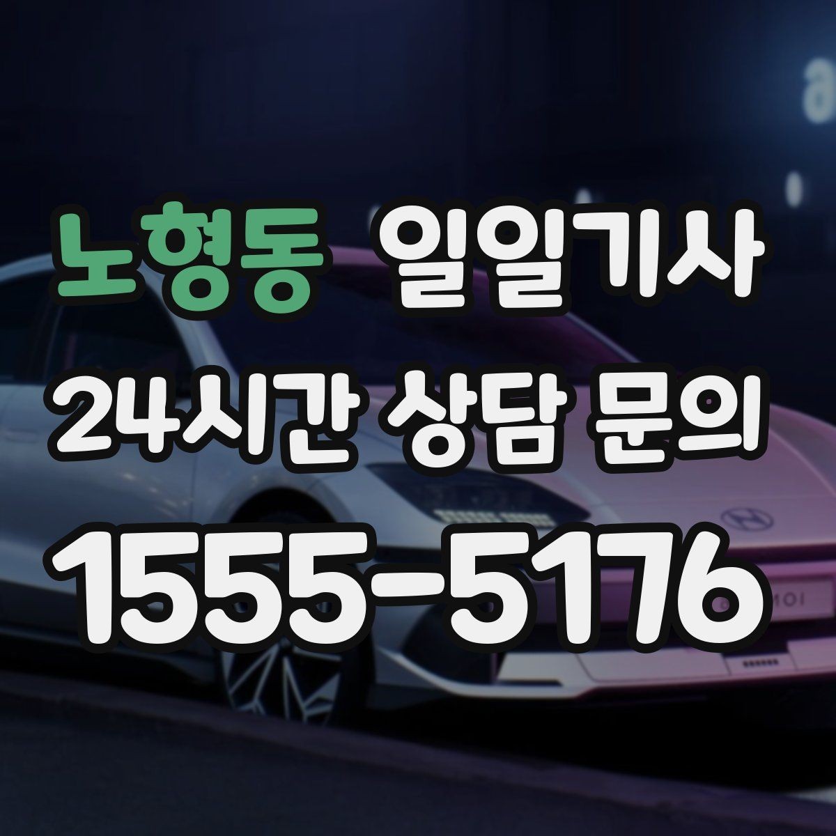 노형동 일일기사 종일 일정 전담 동행