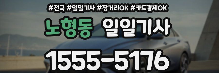 노형동 일일기사