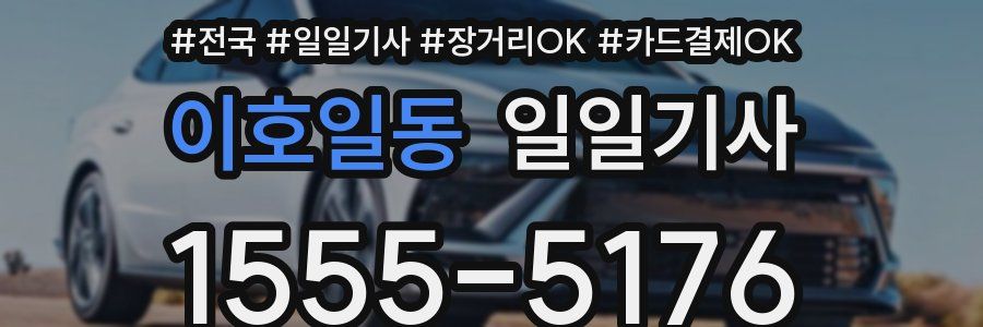 이호일동 일일기사