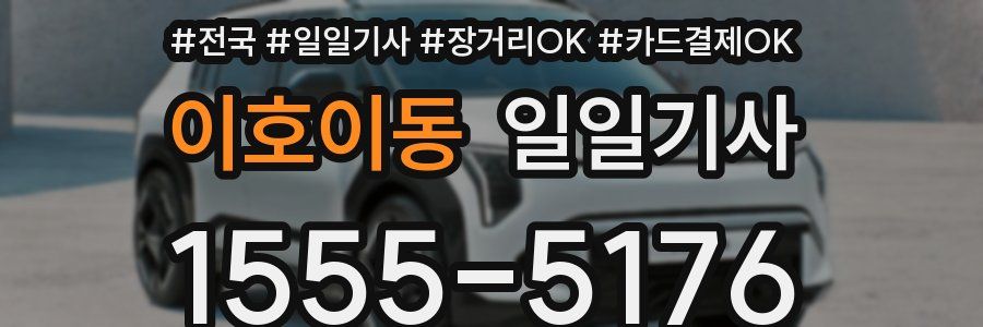 이호이동 일일기사