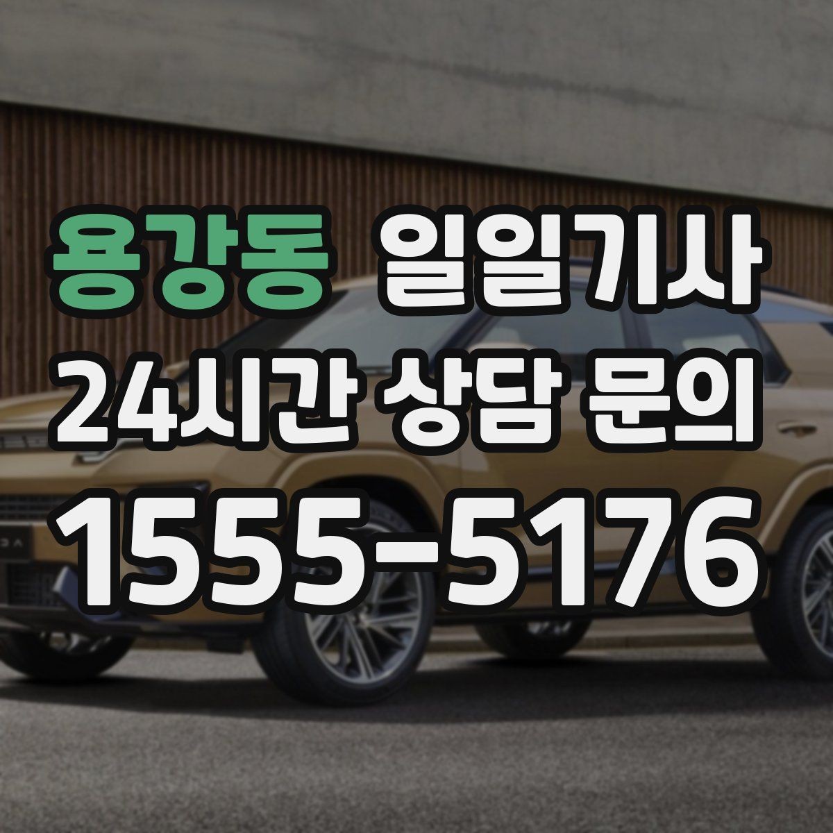 용강동 일일기사 점심 사이 짧은 이동이 부드러운 오후