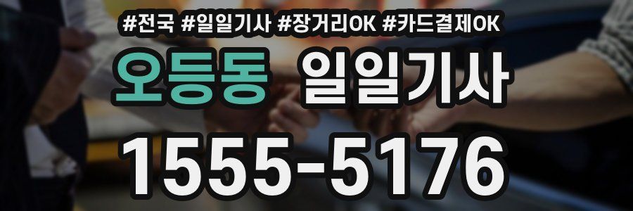 오등동 일일기사