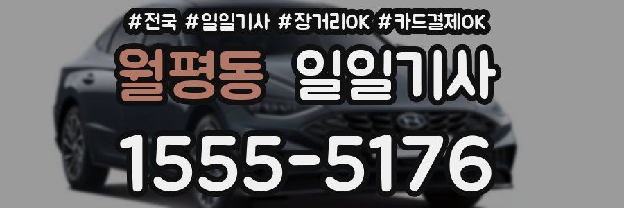 월평동 일일기사